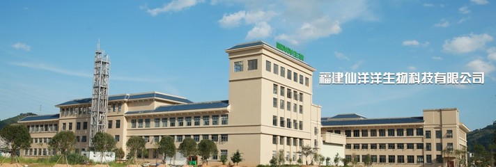福建仙洋洋生物科技 深耕生物科技研發，引領健康產業未來