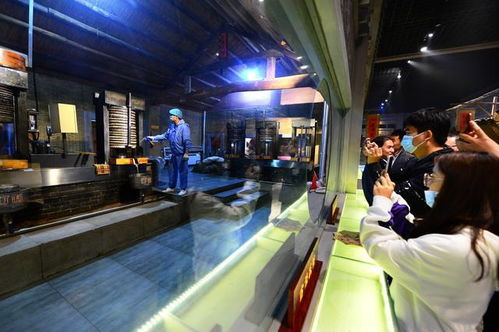 道不盡齊魯糧油好 走進山歌，聽百年油坊唱響的時代新韻